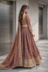 Heavy Two Tone Fandy Silk Lehenga Choli Set