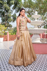 Gold Crush Embroidered Lehenga Choli