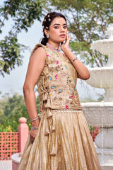 Gold Crush Embroidered Lehenga Choli