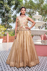 Gold Crush Embroidered Lehenga Choli