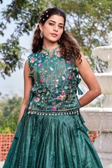 Gold Crush Embroidered Lehenga Choli