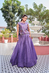 Gold Crush Embroidered Lehenga Choli
