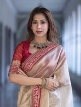 Soft Twill Net Embroidered Saree