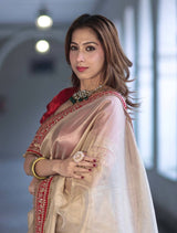 Soft Twill Net Embroidered Saree