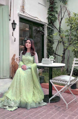 Faux Georgette Gown Lehenga Set
