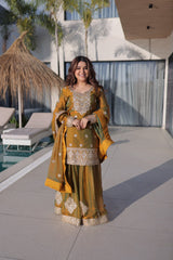 Fendi Chiffon Party Wear Sharara Set