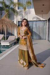 Fendi Chiffon Party Wear Sharara Set
