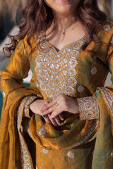 Fendi Chiffon Party Wear Sharara Set