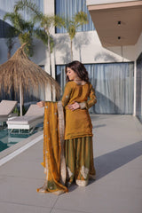 Fendi Chiffon Party Wear Sharara Set